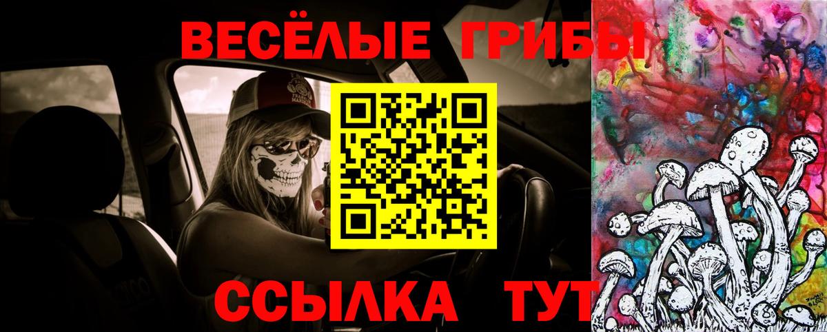 Псилоцибиновые грибы Psilocybine cubensis Сальск